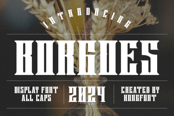 Borgoes: The Display Typeface That Elevates Campaign Visuals